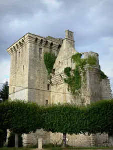 Donjon van Houssoy - Toren, een overblijfsel van het oude kasteel van Houssoy op Crouy-sur-Ourcq