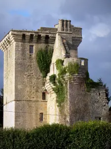 Donjon van Houssoy - Toren, een overblijfsel van het oude kasteel van Houssoy op Crouy-sur-Ourcq