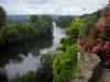 Dordogne valley - From the village of Beynac-et-Cazenac, view of the River Dordogne lined with trees, bird flying and a cloudy sky, in Périgord