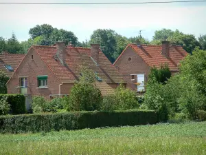 Dörfer der Pas-de-Calais - Wiese, Bäume und Häuser aus Backstein