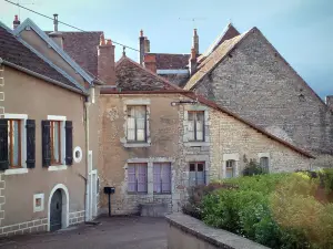 Dörfer der Haute-Saône - Sträucher eines Gartens, und Häuser eines Dorfes