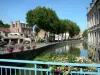 Douai - Rambarde décorées de fleurs en premier plan avec vue sur la rivière Scarpe, les quais de la Scarpe, les maisons et les arbres