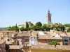 Draguignan - Tourism, holidays & weekends guide in the Var