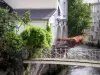 Dreux - Passerelle enjambant la rivière Blaise, maisons au bord de l'eau, balcon orné de géraniums (fleurs)