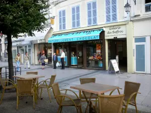 Dreux - Calle comercial (la calle principal Maurice Violette): casas, tiendas (tiendas), terraza cafetería y el árbol