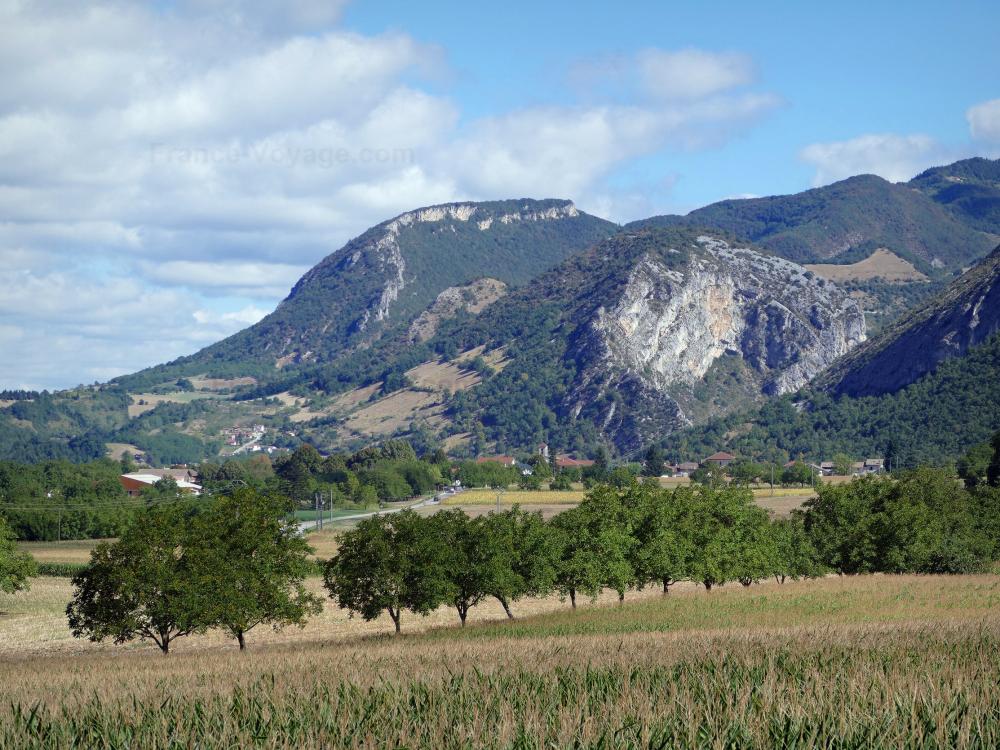 Guide de la Drôme - Paysages de la Drôme - Parc Naturel Régional du Vercors : champ ponctué d'arbres, au pied des montagnes