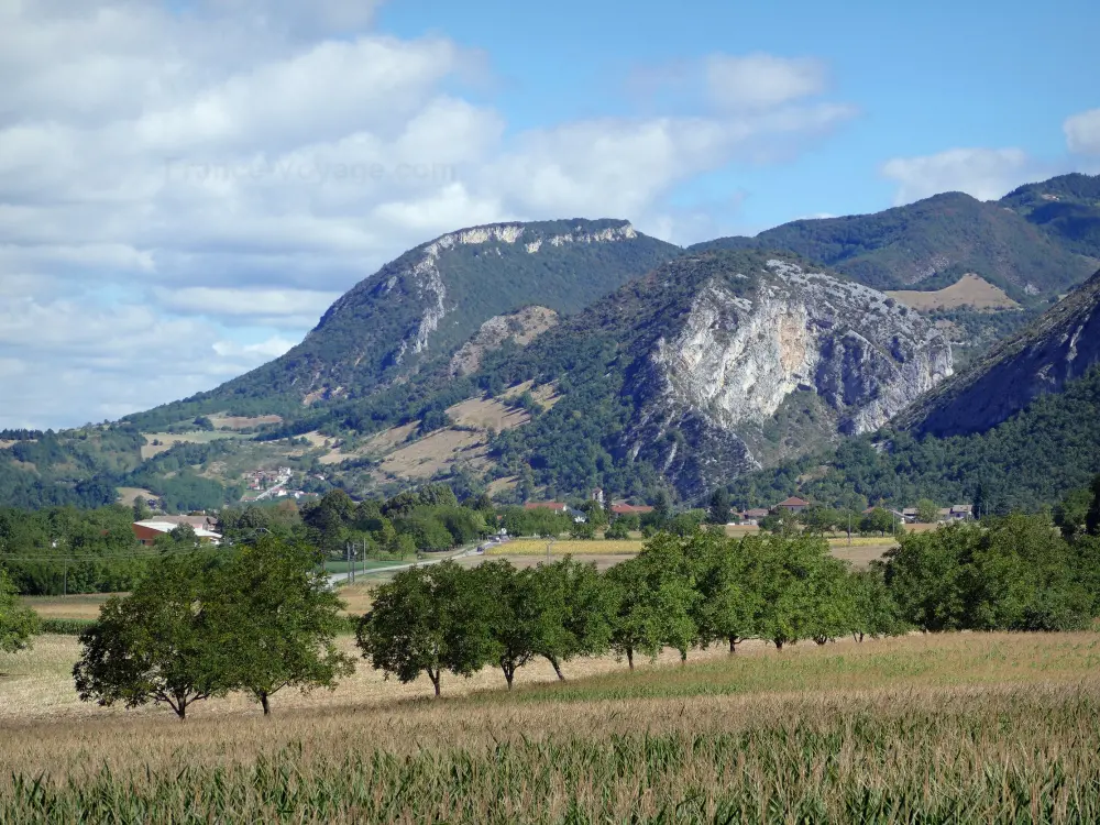 Gids van de Drôme - Landschappen van de Drôme - Regionaal Natuurpark van Vercors: veld bezaaid met bomen, aan de voet van de bergen