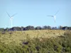 Drôme landscapes - Wind turbines in a field among the trees