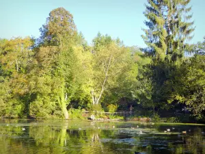 Druyes-les-Belles-Fontaines - Bassin des sources: meer omgeven door bomen