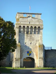 Druyes-les-Belles-Fontaines - Torenportaal van het middeleeuwse kasteel van Druyes