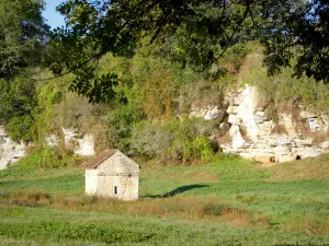 Druyes-les-Belles-Fontaines - Stenen hut in een groene omgeving