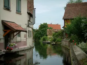 Ebersmunster - Los árboles y las casas a lo largo del río