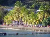 Ebulição - Praia de Malendure com seus coqueiros e seu pontão na água; na ilha de Basse-Terre