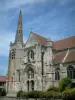 Église de Baron - Arbustes et église du village