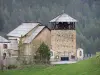 Église de Molines-en-Queyras - Église Saint-Romain et son clocher avec toits de bardeaux de mélèze, prairie et arbres ; dans le Parc Naturel Régional du Queyras