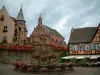 Eguisheim - Plaats bloemen (geraniums) met fontein, het kasteel van de graven van Eguisheim, kapel van St. Leo IX-huis en cafe-terras