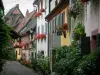 Eguisheim - Casas de colores con plantas, flores y geranios