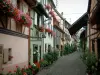 Eguisheim - Las calles empedradas bordeadas de casas de colores con flores, plantas y geranios