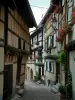 Eguisheim - Smalle geplaveide straatjes met vakwerkhuizen met geraniums (bloemen) en planten