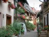Eguisheim - Huizen versierd met bloemen, planten en geraniums