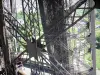 Eiffelturm - Metallische Struktur