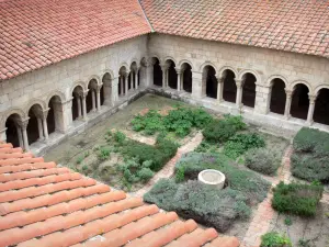 Elne cathedral and cloister - View of the cloister and its garden