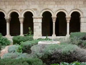 Elne cathedral and cloister - Arches and cloister garden