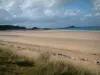 Emerald coast landscapes - Grassland, big sandy beach, wild coast (côte sauvage) and the Channel (sea)