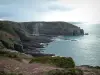 Emerald coast landscapes - From Cape Fréhel, view of cliffs, jagged coastline, shrubs, rocks and the Channel (sea)