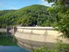 Enchanet大坝 - 水坝和它的水库在绿色环境中