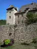 Entraygues-sur-Truyère - Schloss von Entraygues