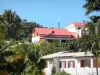 L'Entre-Deux - Maisons du village entourées de palmiers