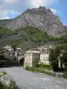 Entrevaux - Houses of the medieval village, Var river and cliff (rock face)