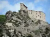 Entrevaux - Citadel and fortified ramp (fortifications)