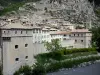 Entrevaux - Fortifications and houses of the medieval village alongside the Var river