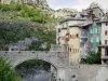 Entrevaux - Bridge of the Royale door spanning the Var river and houses of the medieval village