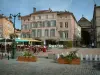 Epinal - Place des Vosges com plantas, flores, fontes, terraços de cafés, casas com arcadas e a Basílica de Saint-Maurice ao fundo