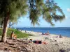Ermitage Beach - Praia arenosa protegida de filao