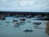 Erquy - Porto com barcos e arrastões, ave em pleno vôo
