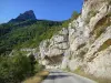 Escharis gorges - Roanne valley: road lined with cliffs and trees