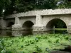 Guia de Essonne - Vale de Yerres - Ponte velha de Boussy-Saint-Antoine, abrangendo o rio Yerres e plantas aquáticas em primeiro plano