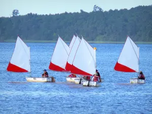 Estanque de Biscarrosse y Parentis - Navegando en el lago