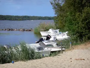 Estanque de Biscarrosse y Parentis - Arena, cañas, barcos y lago