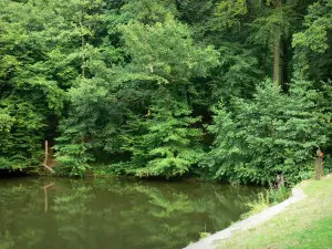 Estanque del Blangy - Los árboles a lo largo del agua en la ciudad de Hirson