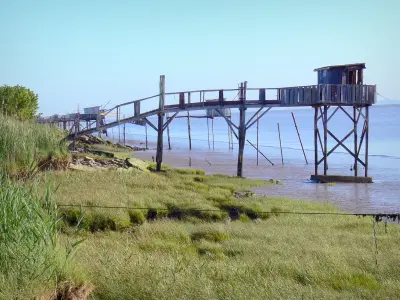 Estuario del Gironda