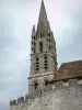 Etampes的 - 钟楼和Notre-Dame-du-Fort大学教堂的城垛