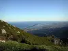 L'étang de Biguglia - Guide tourisme, vacances & week-end en Haute-Corse