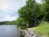 Étang de la Mer Rouge - Rive plantée d'arbres et étang ; dans le Parc Naturel Régional de la Brenne