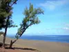 L'Étang-Salé - Filaos sur la plage de sable noir de L'Étang-Salé-les-Bains et océan Indien