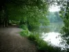 Étangs de Commelles - Rive (sentier) ombragé, arbres de la forêt, végétation et plan d'eau